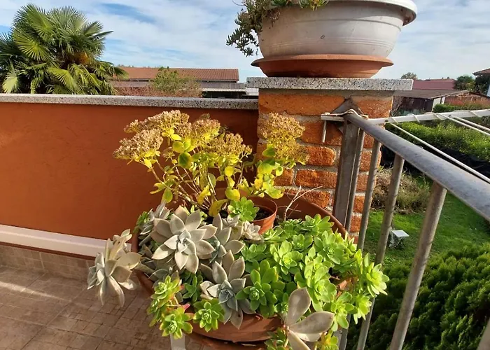 Casa Nonna Gina בית כפרי *